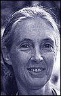 Jane Goodall Quotes