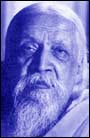 Sri aurobindo quotes