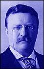 President Theodore Roosevelt Quotes